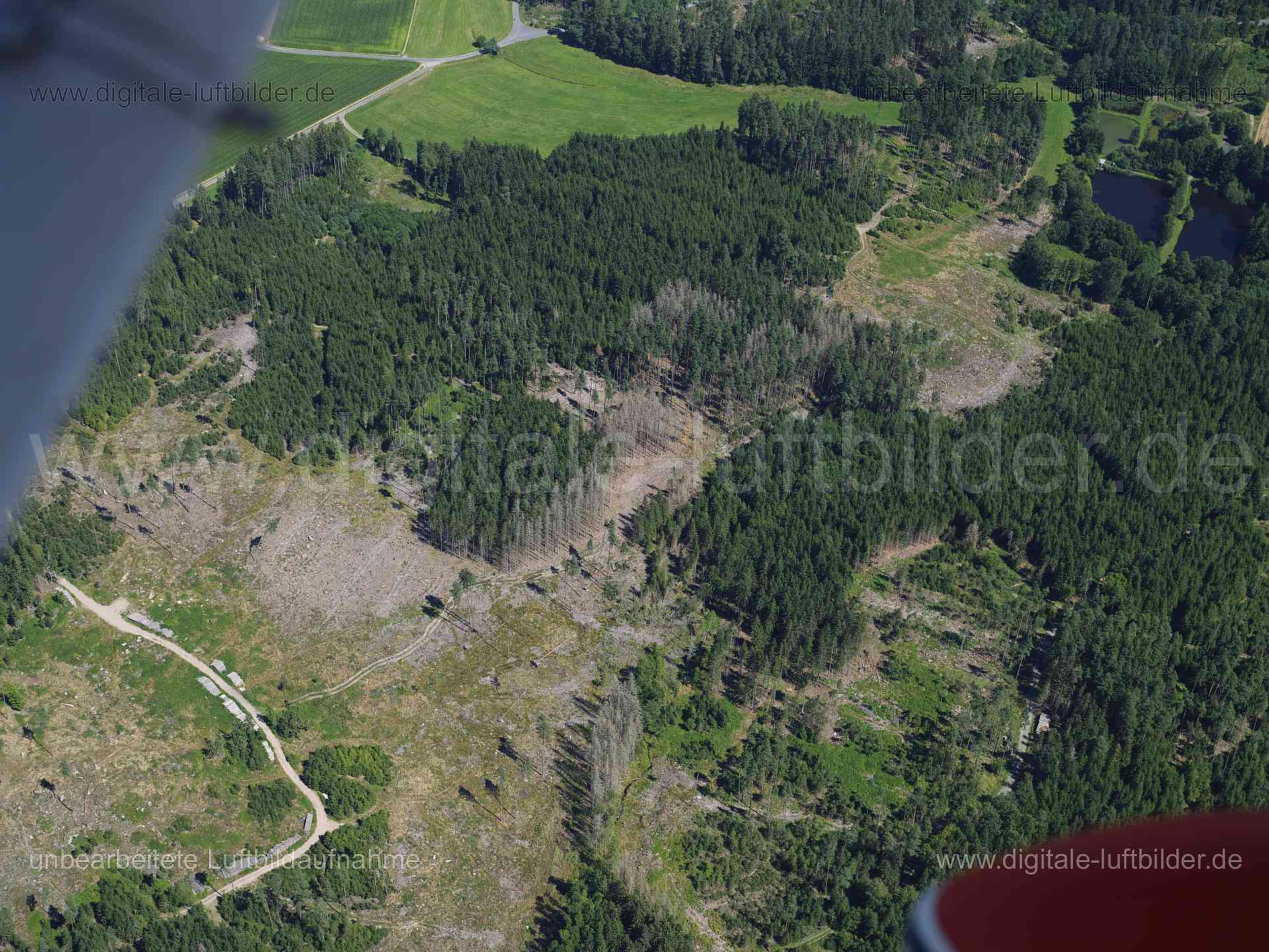 Titel: Dürnberg, Bildnummer: f551400, Ort / Stadt: Dürnberg, (Land)Kreis: Landkreis Wunsiedel im Fichtelgebirge, Regierungsbezirk: Oberfranken, Bundesland: Bayern, Aufnahmedatum: 11.08.2024, Schlagwörter: Deutschland, , Dürnberg, Wald, Forst, Monat: August, Jahreszeit: Sommer, Tageszeit: Mittag / Nachmittag, Jahr: 2024, Flug ID: 20240811, Bildstatus: unbearbeitetes Rohbild, Bildabmessung: 11648 x 8736 Pixel, Fotograf & Copyright: Oliver Acker