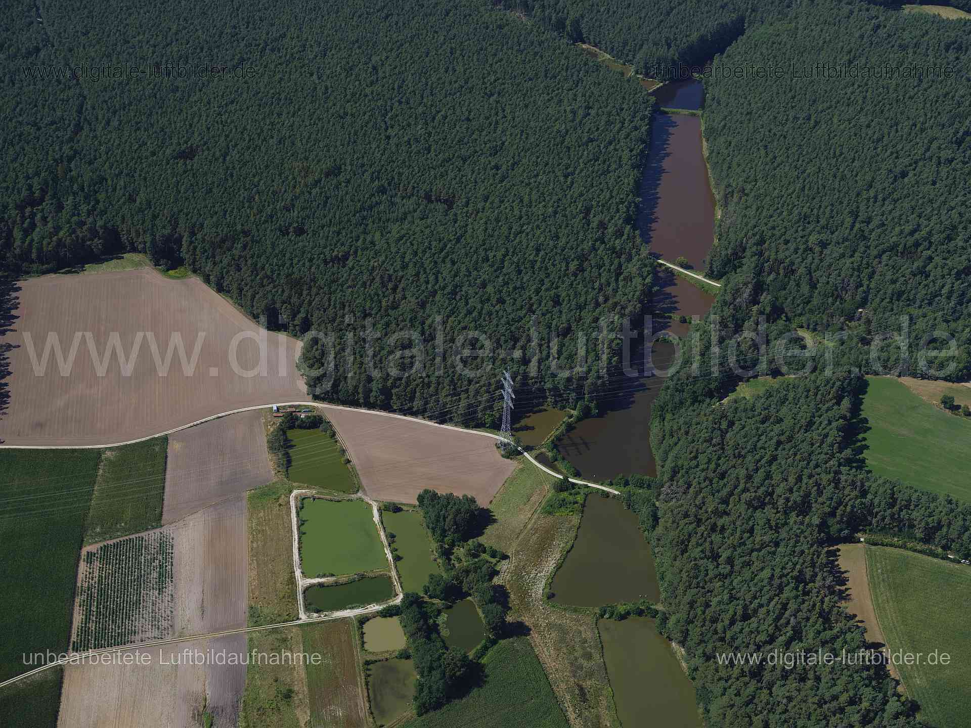 Titel: Möhrendorf, Bildnummer: f553690, Ort / Stadt: Erlangen, (Land)Kreis: Landkreis Erlangen-Höchstadt, Regierungsbezirk: Mittelfranken, Bundesland: Bayern, Aufnahmedatum: 11.08.2024, Schlagwörter: Deutschland, , Karpfenweiher, Aischgrund, Wald, Forst, Landwirtschaft, Fischteich, Fischzucht, Monat: August, Jahreszeit: Sommer, Tageszeit: Mittag / Nachmittag, Jahr: 2024, Flug ID: 20240811, Bildstatus: unbearbeitetes Rohbild, Bildabmessung: 11648 x 8736 Pixel, Fotograf & Copyright: Oliver Acker