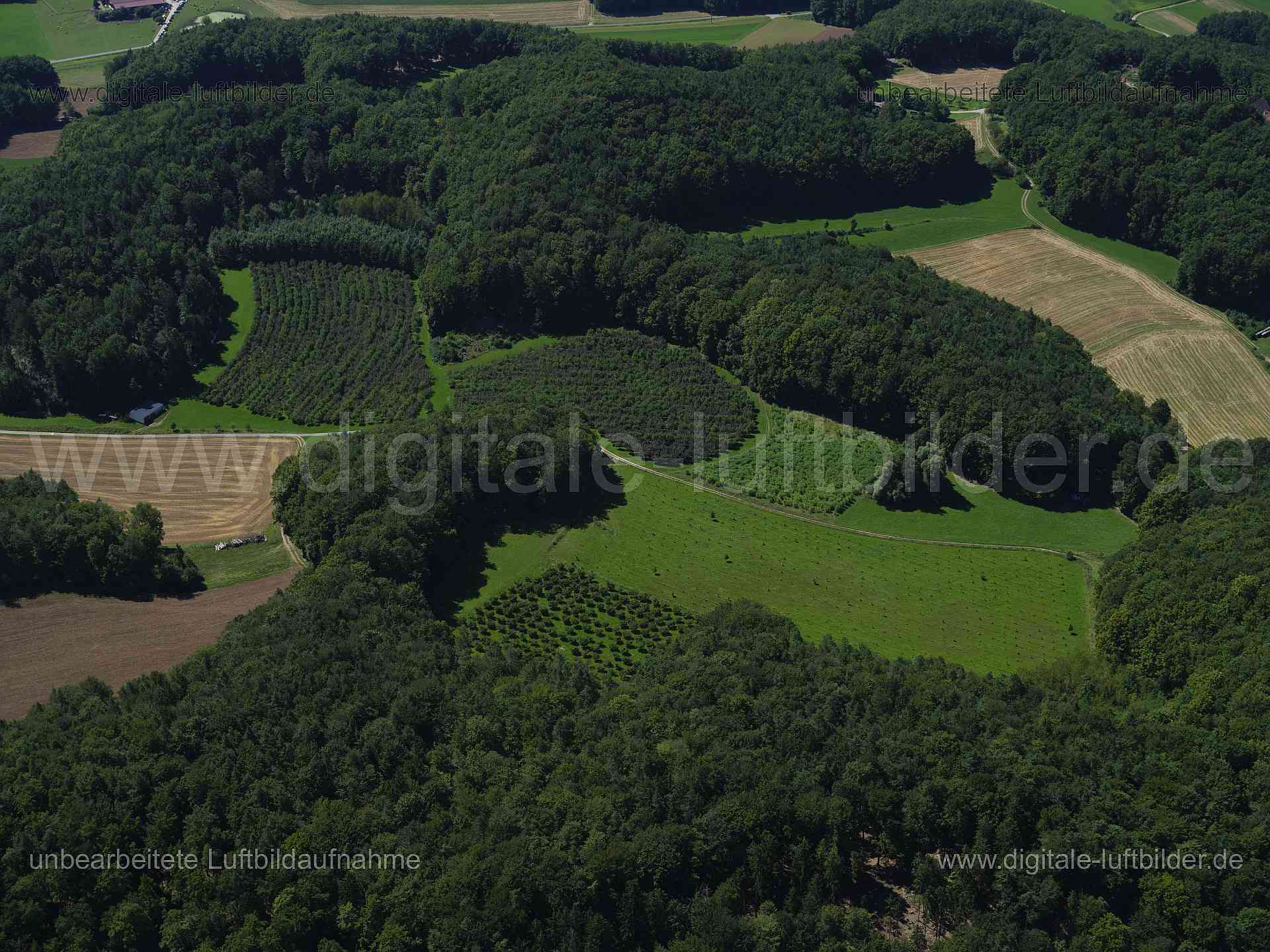 Titel: Kesselberg, Bildnummer: f550480, Ort / Stadt: Kesselberg, (Land)Kreis: Landkreis Nürnberger Land, Regierungsbezirk: Mittelfranken, Bundesland: Bayern, Aufnahmedatum: 11.08.2024, Schlagwörter: Deutschland, , Kesselberg, Fränkische Schweiz, Obstbäume, Obstwiesen, Monat: August, Jahreszeit: Sommer, Tageszeit: Mittag / Nachmittag, Jahr: 2024, Flug ID: 20240811, Bildstatus: unbearbeitetes Rohbild, Bildabmessung: 11648 x 8736 Pixel, Fotograf & Copyright: Oliver Acker