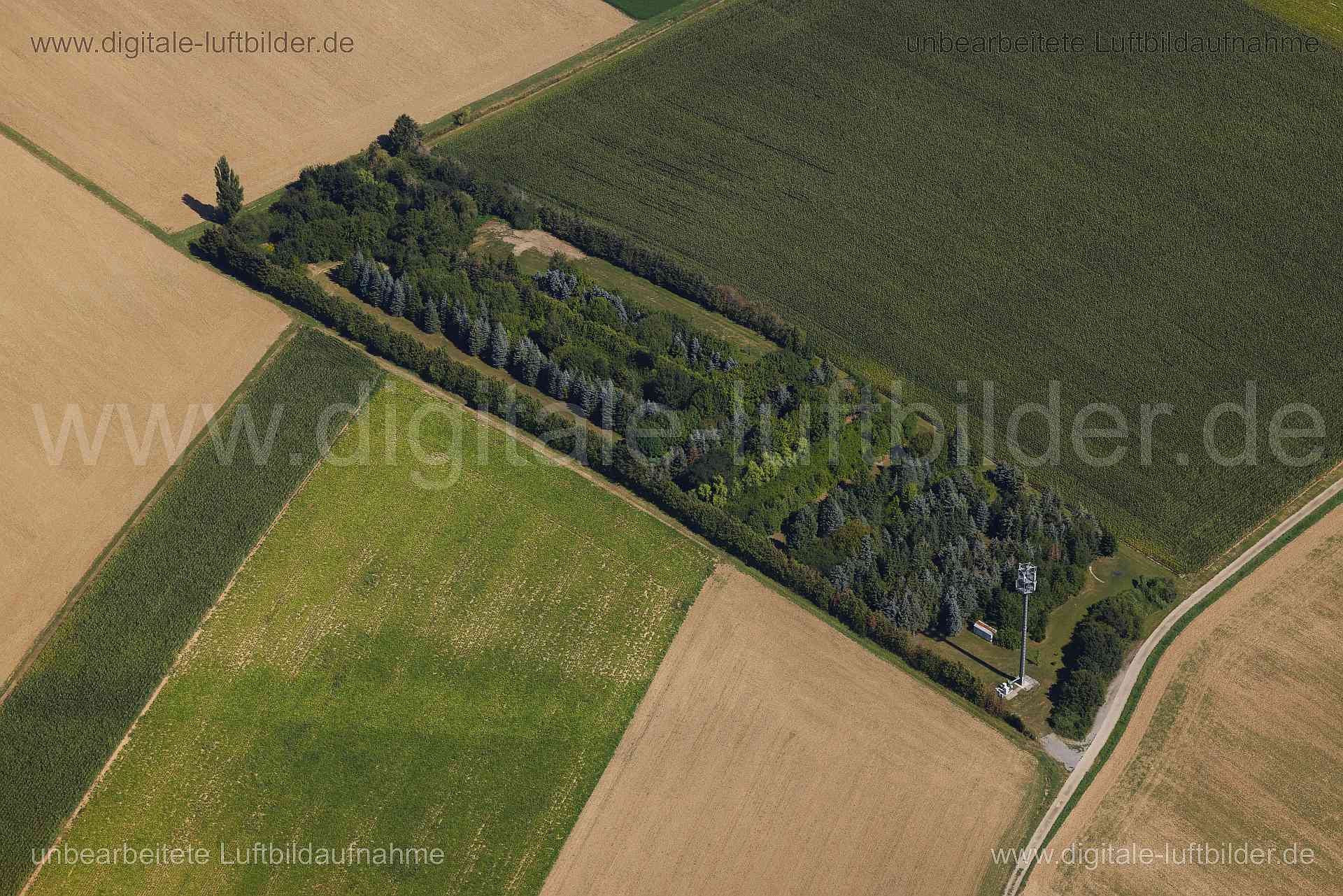 Titel: Kitzingen, Bildnummer: c561750, Ort / Stadt: Kitzingen, (Land)Kreis: Landkreis Kitzingen, Regierungsbezirk: Unterfranken, Bundesland: Bayern, Aufnahmedatum: 24.08.2024, Schlagwörter: Deutschland, , Natur, Hecken, Sträuche,r Bäume, Acker, Äcker, Landwirtschaft, Monat: August, Jahreszeit: Sommer, Tageszeit: Mittag / Nachmittag, Jahr: 2024, Flug ID: 20240824, Bildstatus: unbearbeitetes Rohbild, Bildabmessung: 8192 x 5464 Pixel, Fotograf & Copyright: Oliver Acker