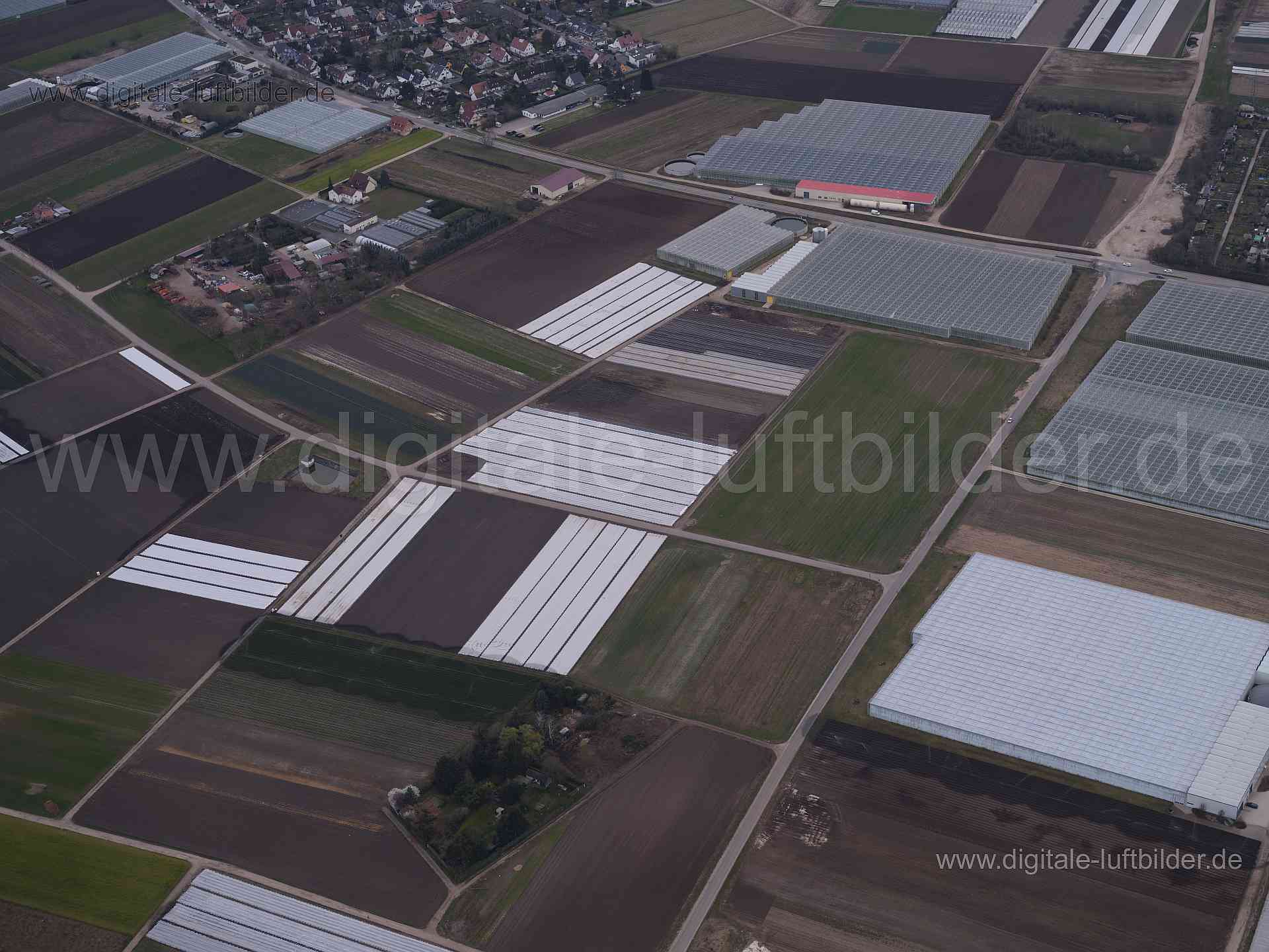 Titel: Knoblauchsland, Bildnummer: f531340, Ort / Stadt: Nürnberg, (Land)Kreis: kreisfreie Stadt Nürnberg, Regierungsbezirk: Mittelfranken, Bundesland: Bayern, Aufnahmedatum: 09.03.2024, Schlagwörter: Deutschland, 90427, Frauentaler Weg, Leitenfeldstraße, Mühlweg, Nürnberg, Pfandäckerstraße, Raiffeisenstraße, Rendsburger Straße, Rötenäckerstraße, Knoblauchsland, Kriegsopfersiedlung, Gewächshäuser, Gewächshaus, Landwirtschaft, Acker, Äcker, Landwirtschafsflächen, Gemüseanbau, Lebensmittelindustri
