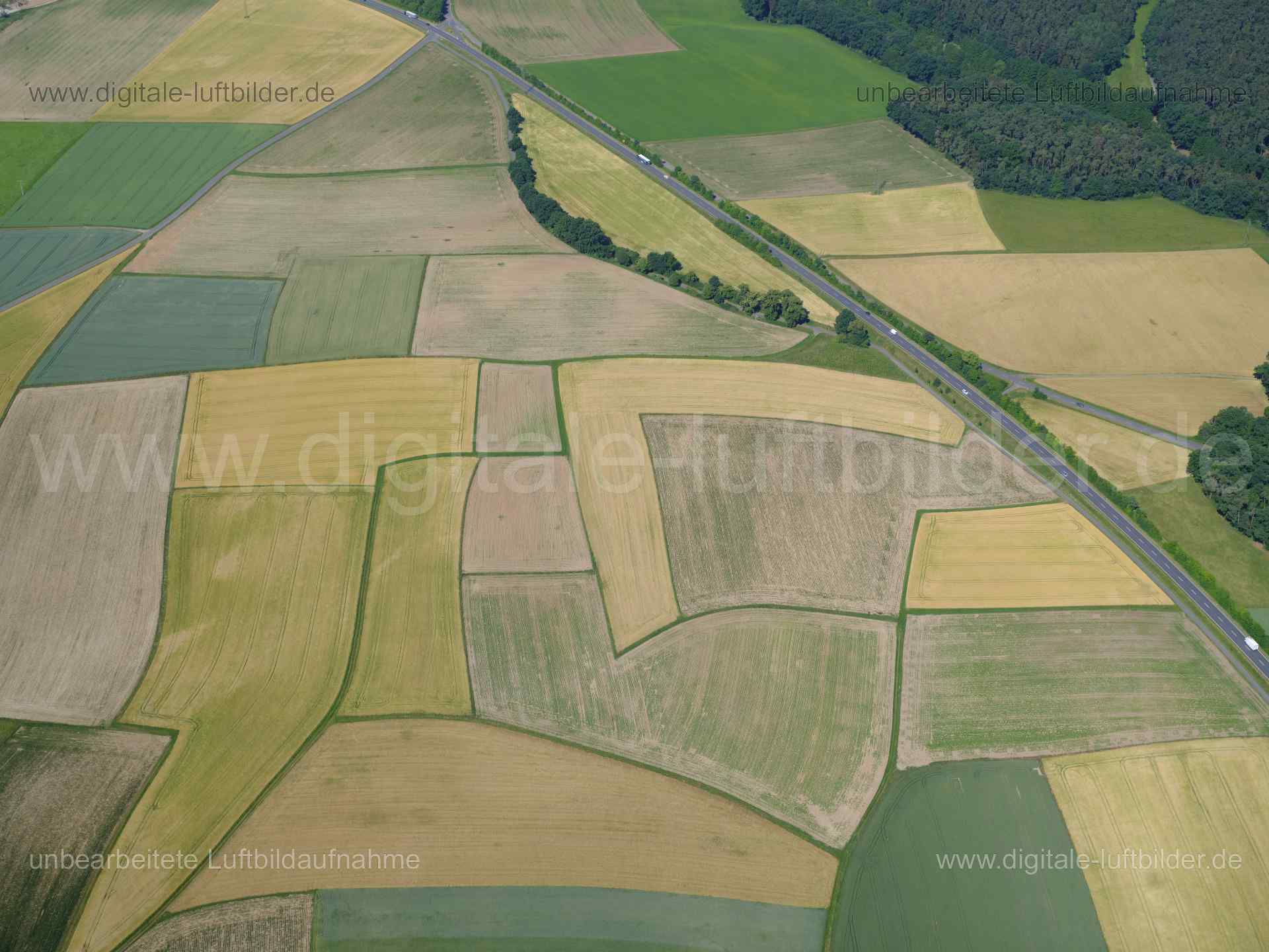 Titel: Landwirtschaft bei Bertelsdorf, Bildnummer: f480370, Ort / Stadt: Fürth, (Land)Kreis: Landkreis Fürth, Regierungsbezirk: Mittelfranken, Bundesland: Bayern, Aufnahmedatum: 14.06.2022, Schlagwörter: Luftbild, Luftbilder, Luftbildfotografie, Luftaufnahme, Luftbildaufnahme, Luftfoto, Luftbildarchiv, Luftbildsuche, Vogelperspektive, Vogelansicht, Deutschland, , Landwirtschaft, Acker, Äcker, Geometrie, Berteldorf, Monat: Juni, Jahreszeit: Sommer, Tageszeit: Vormittag / Mittag, Jahr: 2022, Flug