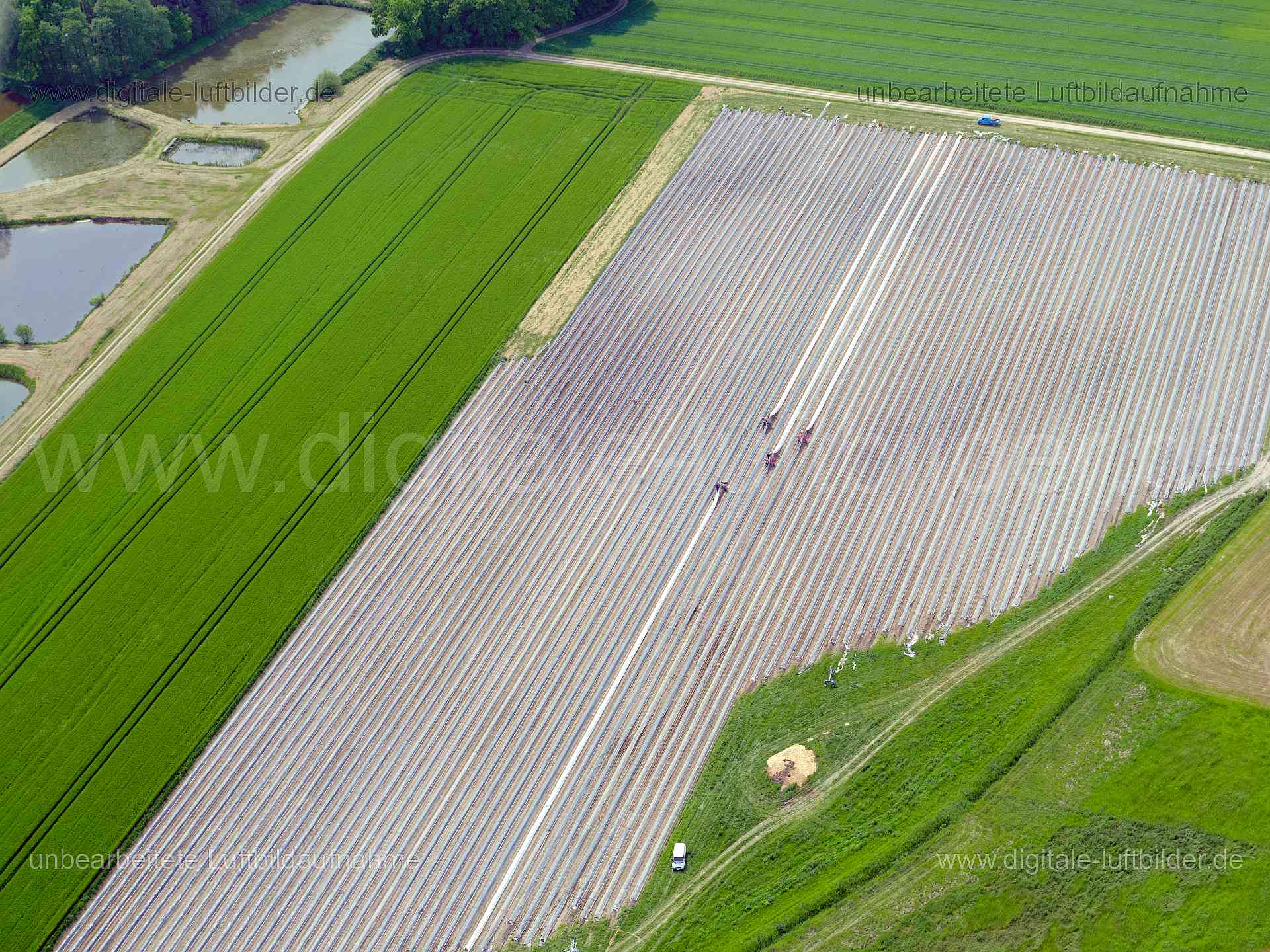 Luftbild - Spargelanbau, Ort: Herzogenaurach, Tags: Spargelanbau, Spargelfeld, Acker, Äcker, Sparkgelbauer, Folie, Handarb...