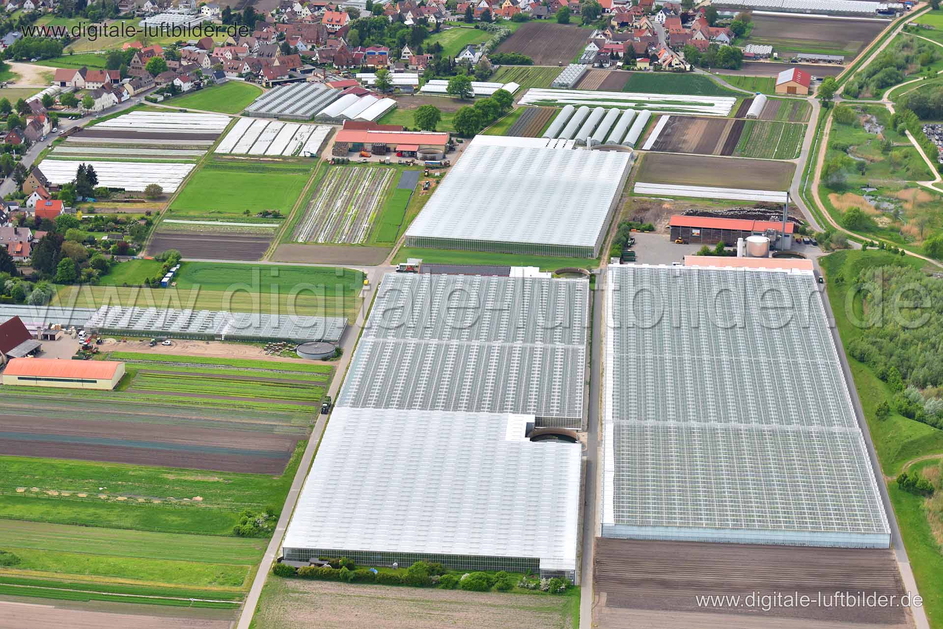 Titel: Gewächshäuser, Bildnummer: n144340, Ort / Stadt: Nürnberg, (Land)Kreis: kreisfreie Stadt Nürnberg, Regierungsbezirk: Mittelfranken, Bundesland: Bayern, Aufnahmedatum: 11.05.2015, Schlagwörter: Luftbild, Luftbilder, Luftbildfotografie, Luftaufnahme, Luftbildaufnahme, Luftfoto, Vogelperspektive, Vogelansicht, Deutschland, Schräg- und Senkrecht-Luftaufnahmen, Orthofotografie, Gewächshäuser, Gewächshaus, Knoblauchsland, 90427, Dorf, Landwirtschaft, Bauer, Bauern, Acker, Äcker, Landwirtschafts