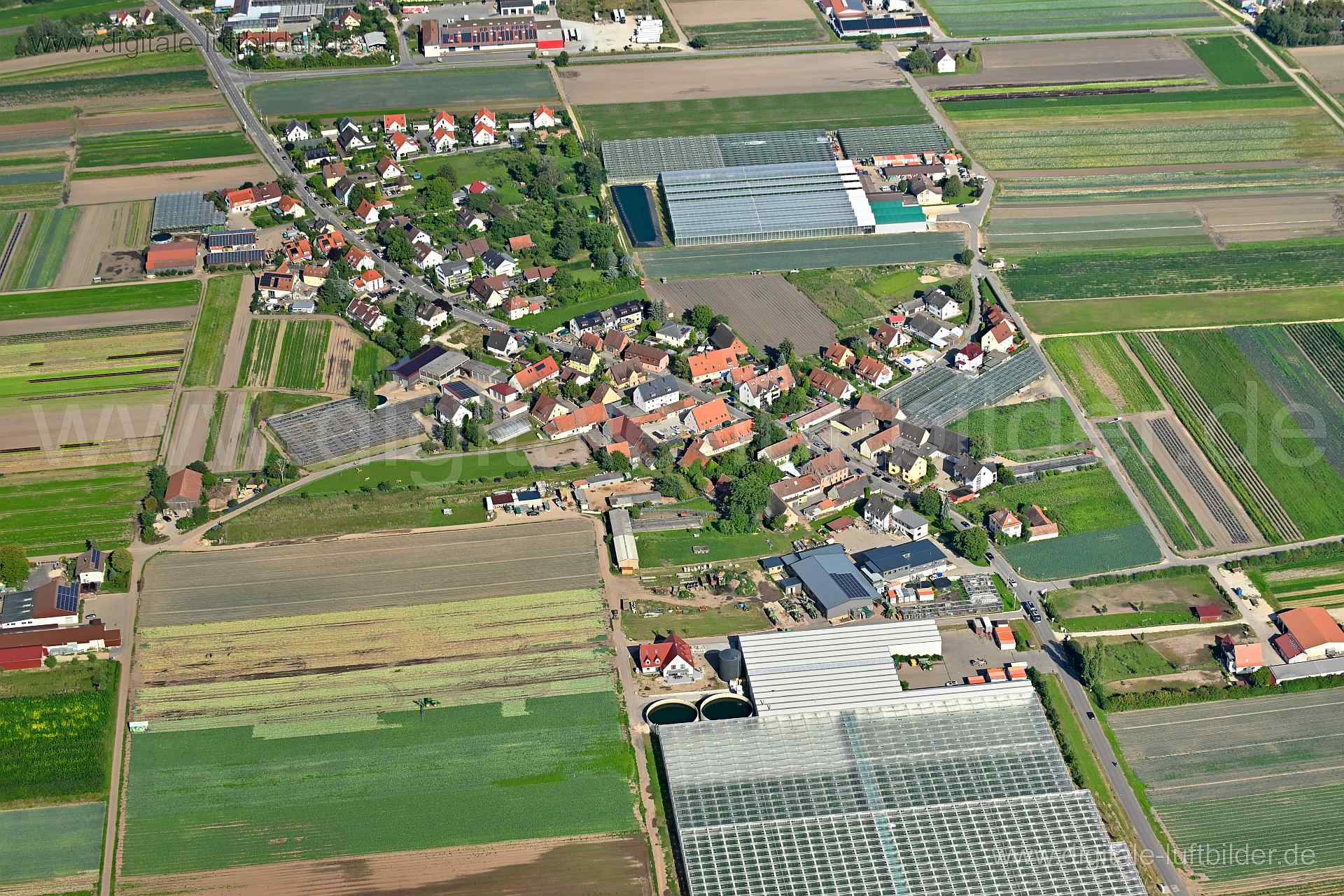 Titel: Höfles, Bildnummer: n515790, Ort / Stadt: Nürnberg, (Land)Kreis: kreisfreie Stadt Nürnberg, Regierungsbezirk: Mittelfranken, Bundesland: Bayern, Aufnahmedatum: 11.08.2023, Schlagwörter: Deutschland, 90427, Breitenäckerweg, Holzwegfeld, Höfleser Hauptstraße, Nürnberg, Sellerieweg, Knoblauchsland, Landwirtschaft, Gewächshäuser, Gewächshaus, Monat: August, Jahreszeit: Sommer, Tageszeit: Vormittag / Mittag, Jahr: 2023, Flug ID: 20230811, Bildstatus: unbearbeitetes Rohbild, Bildabmessung: 8256