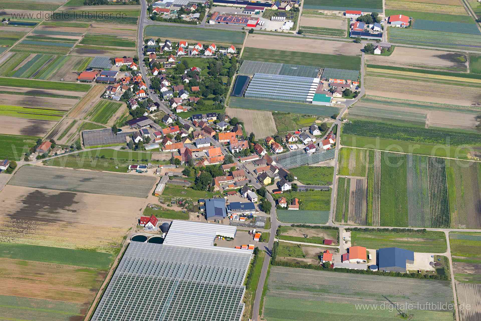 Titel: Höfles, Bildnummer: n525510, Ort / Stadt: Nürnberg, (Land)Kreis: kreisfreie Stadt Nürnberg, Regierungsbezirk: Mittelfranken, Bundesland: Bayern, Aufnahmedatum: 20.08.2023, Schlagwörter: Deutschland, 90427, Breitenäckerweg, Holzwegfeld, Höfleser Hauptstraße, Nürnberg, Raiffeisenstraße, Sellerieweg, Höfles, Knoblauchsland, Acker, Äcker, Landwirtschaft, Gewächshaus, Monat: August, Jahreszeit: Sommer, Tageszeit: Vormittag / Mittag, Jahr: 2023, Flug ID: 20230820, Bildstatus: unbearbeitetes Roh
