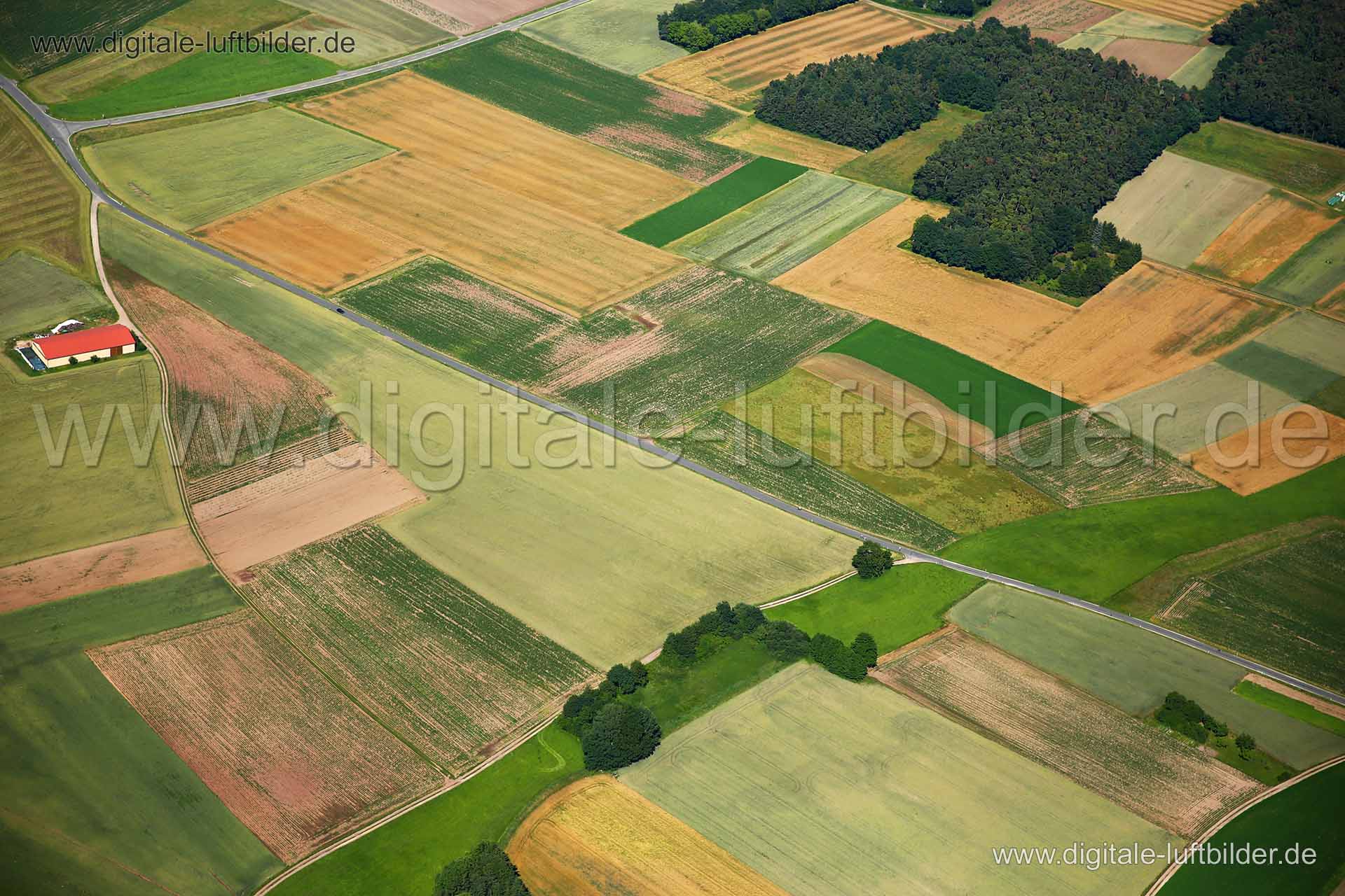 Titel: Knoblauchsland, Bildnummer: c227340, Ort / Stadt: Nürnberg, (Land)Kreis: kreisfreie Stadt Nürnberg, Regierungsbezirk: Mittelfranken, Bundesland: Bayern, Aufnahmedatum: 23.06.2016, Schlagwörter: Luftbild, Luftbilder, Luftbildfotografie, Luftaufnahme, Luftbildaufnahme, Luftfoto, Vogelperspektive, Vogelansicht, Deutschland, Schräg- und Senkrecht-Luftaufnahmen, Orthofotografie, Knoblauchsland, Acker, Äcker, Großgründlach, Brucker Straße, Monat: Juni, Jahreszeit: Sommer, Tageszeit: Mittag / Na
