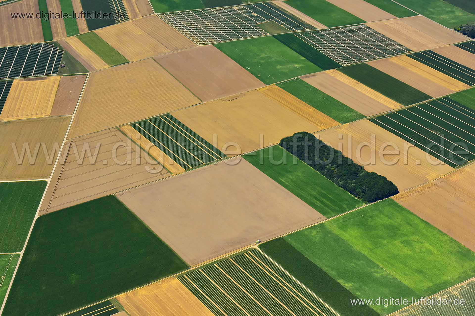 Titel: Landwirtschaft bei Rain, Bildnummer: n323700, Ort / Stadt: Rain, (Land)Kreis: Landkreis Donau-Ries, Regierungsbezirk: Schwaben, Bundesland: Bayern, Aufnahmedatum: 24.07.2019, Schlagwörter: Luftbild, Luftbilder, Luftbildfotografie, Luftaufnahme, Luftbildaufnahme, Luftfoto, Vogelperspektive, Vogelansicht, Deutschland, Schräg- und Senkrecht-Luftaufnahmen, Orthofotografie, Landwirtschaft bei Rain, Acker, Äcker, Landwirtschaft, Bauer, Bewirtschaftung, Monat: Juli, Jahreszeit: Sommer, Tageszeit