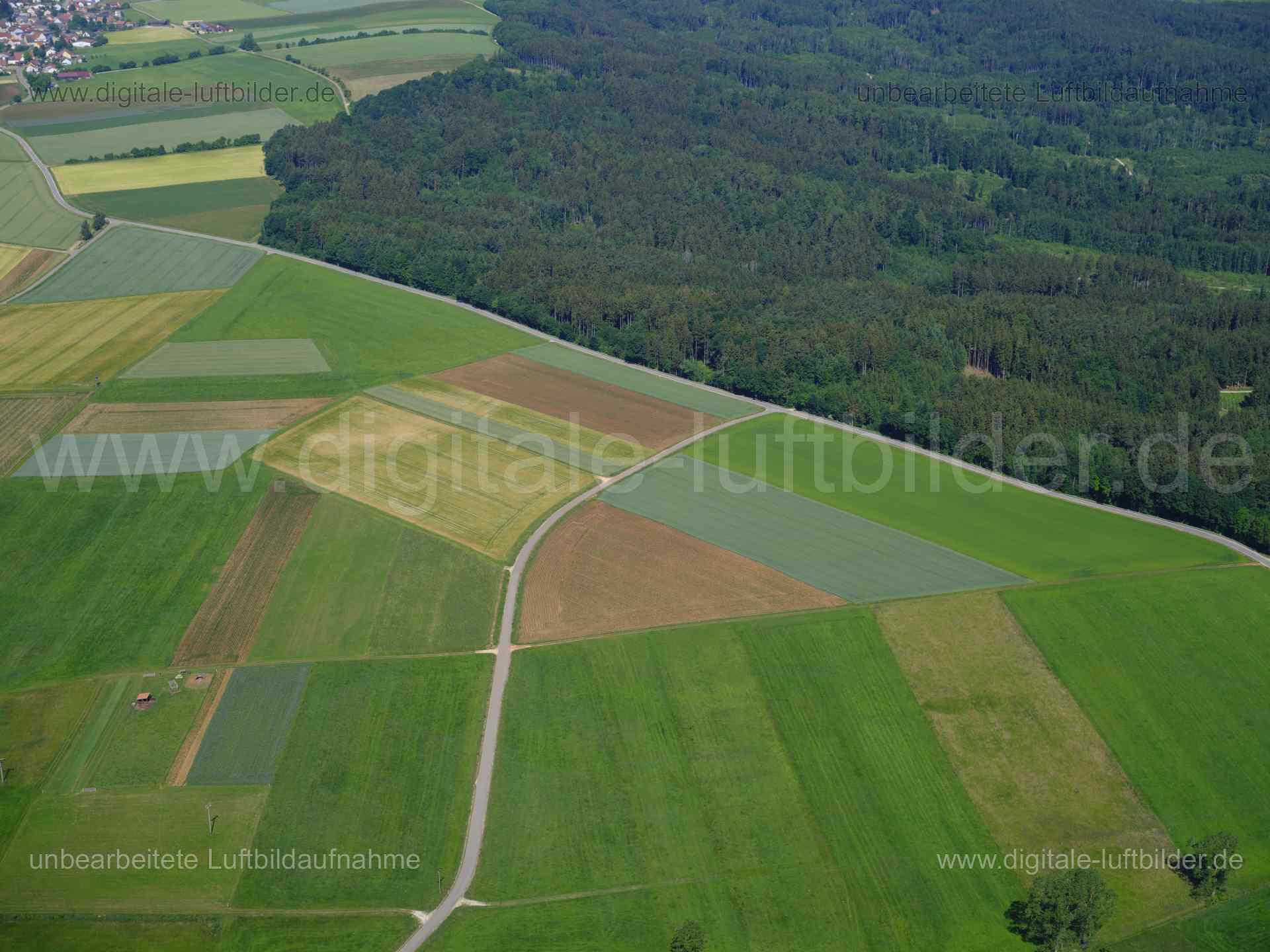 Titel: Thalmannsfeld, Bildnummer: f480740, Ort / Stadt: Thalmässing, (Land)Kreis: Landkreis Roth, Regierungsbezirk: Mittelfranken, Bundesland: Bayern, Aufnahmedatum: 14.06.2022, Schlagwörter: Luftbild, Luftbilder, Luftbildfotografie, Luftaufnahme, Luftbildaufnahme, Luftfoto, Luftbildarchiv, Luftbildsuche, Vogelperspektive, Vogelansicht, Deutschland, , Thalmannsfeld, Dorf, Monat: Juni, Jahreszeit: Sommer, Tageszeit: Vormittag / Mittag, Jahr: 2022, Flug ID: 20220614, Bildstatus: unbearbeitetes Roh